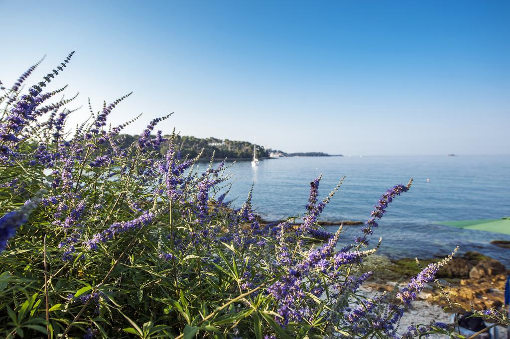 Apartma Anamarija *